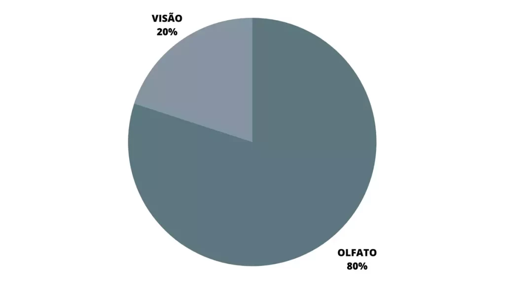 grafico-sobre-influencia-do-olfato-nas-vendas